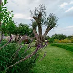 Barokhouse Bed and Breakfast