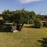Отель типа 