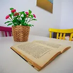Barokhouse 3* Шикли