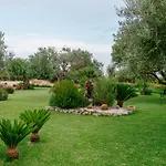 Barokhouse Шикли